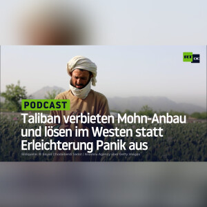 Drogenhandel: Taliban verbieten Mohn-Anbau und lösen im Westen statt Erleichterung Panik aus