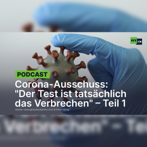 Corona-Ausschuss: "Der Test ist tatsächlich das Verbrechen" – Teil 1