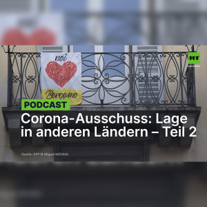 Corona-Ausschuss: "Man braucht viele dumme Leute, damit das klappt" – Teil 2