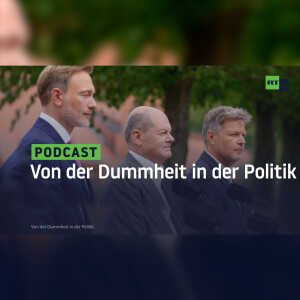 Von der Dummheit in der Politik