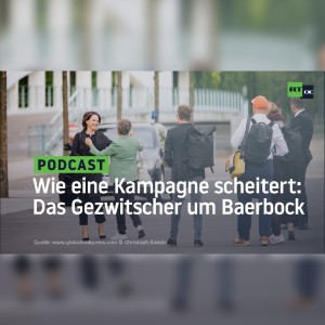 Wie eine Kampagne scheitert: Das Gezwitscher um Baerbock