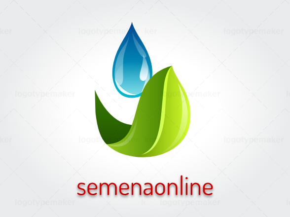 Buy corn seeds in Ukraine