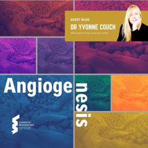 Dr Yvonne Couch - Angiogenesis