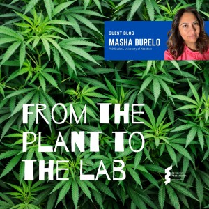 Masha Burelo - From the plant to the lab