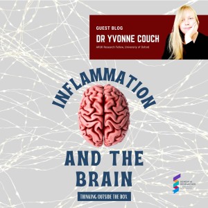 Dr Yvonne Couch - Inflammation and the Brain, thinking outside the box