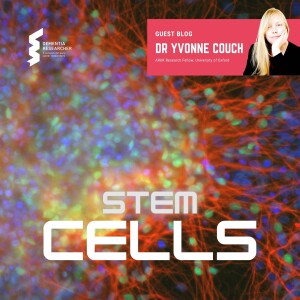 Dr Yvonne Couch - Stem Cells