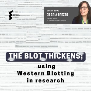 Dr Gaia Brezzo - The Blot thickens; using Western Blotting in research