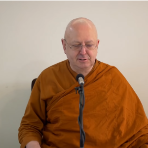 Dhamma Talk - Letting Go & Developing Stillness in Meditation  | Ajahn Brahmavamso | 27 May 2019