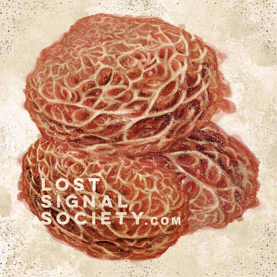 "Lost Signal Society" Podcast