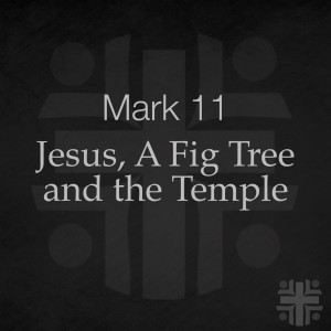 Jesus, A Fig Tree, and the Temple