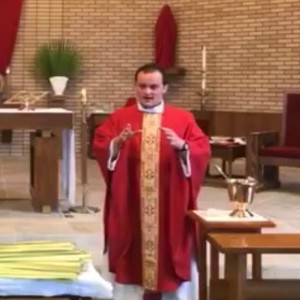 Fr. Joe Zabinski April 5, 2020 Palm Sunday Homily