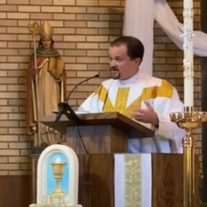 May 31/June 1, 2025 Homily Series on Growth - 2 of 6 | Fr. Joe Zabinski