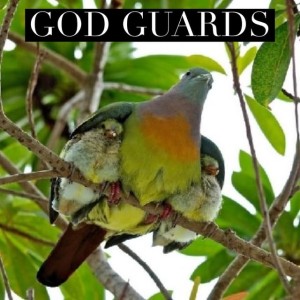 August 26, 2020 | God Guards | Psalm 36:7-9