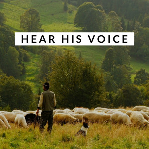 Hear His Voice | Psalm 95