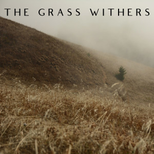 The Grass Withers | 1 Kings 1:1-4
