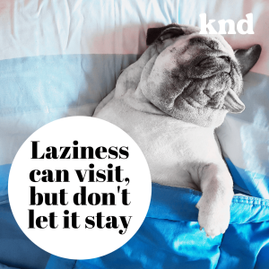 KND787 ทำไมจะขี้เกียจบ้างไม่ได้? แค่อย่าให้เสียนิสัยก็พอ Laziness can visit, but don’t let it stay