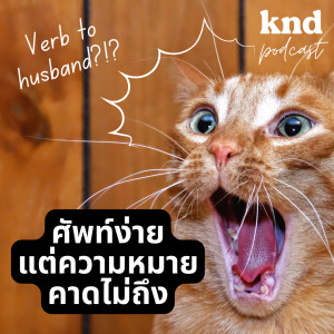 KND907 3 ศัพท์ง่ายกับความหมายที่คาดไม่ถึง