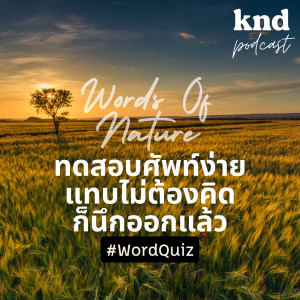 KND911 เรียนศัพท์อย่างเป็นธรรมชาติ (ความยาก 5/10) + คะแนนโบนัส!