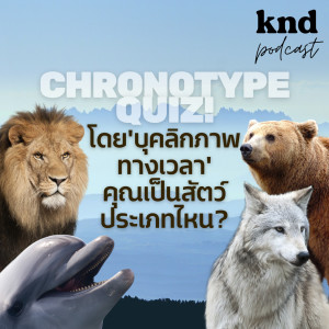 KND966 Chronotype Quiz โดย ‘บุคลิกภาคทางเวลา’ คุณเป็นสัตว์ประเภทไหน?