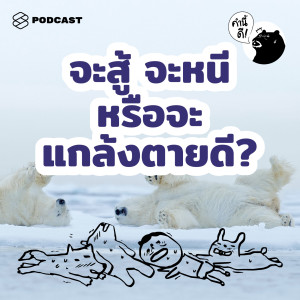 KND482 จะสู้ จะหนี หรือจะแกล้งตายดี? | Fight, Flight, or Freeze?