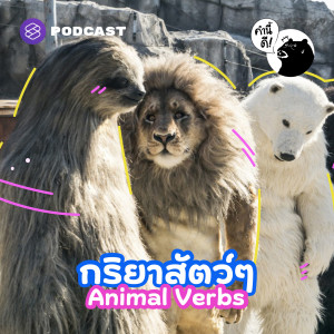 KND651  เรามาลองใช้สัตว์เป็น Verb กันดีกว่า #KNDVocabClass