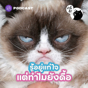 KND654 ทั้งที่รู้อยู่แก่ใจว่าไม่ดี แต่ทำไมคนเรายังดื้อจะทำให้ได้?