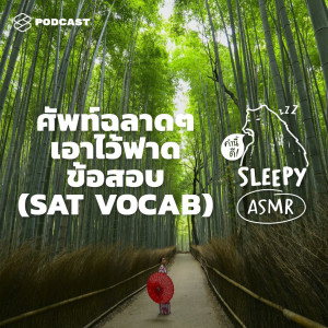 SLPY30 ASMR | ศัพท์ฉลาดๆ เอาไว้ฟาดข้อสอบ | SAT VOCAB (Bamboo V. )