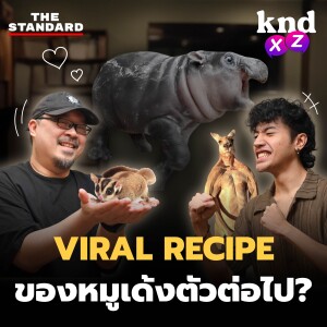 KND1236 จิตวิทยาความน่ารักของ ‘หมูเด้ง’ ที่คนไทยและฝรั่งคลั่งมาก #kndXZ