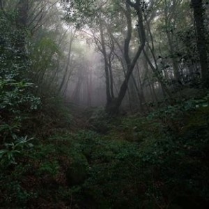 Episode 23 - Japanese Suicide Forest