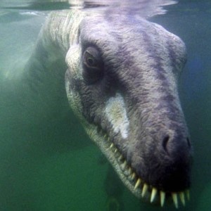 Episode 21 - Does Nessy Live in Ashlees' Vagina? (New Years Special)