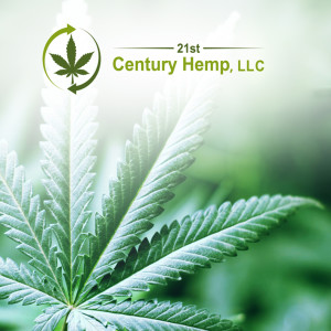 New York hemp grower talks about the changing industry