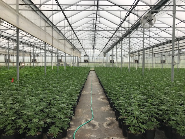 NY Processor talks about the industry in NYS