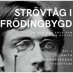 Strövtåg i Frödingbygd del 2: författaren Anita Forsnäsgård.
