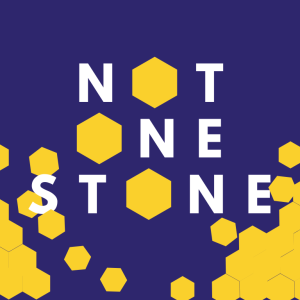 Not One Stone: If it doesn't make sense, it doesn't make sense