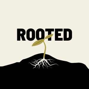 Rooted in ”That Third Strand”