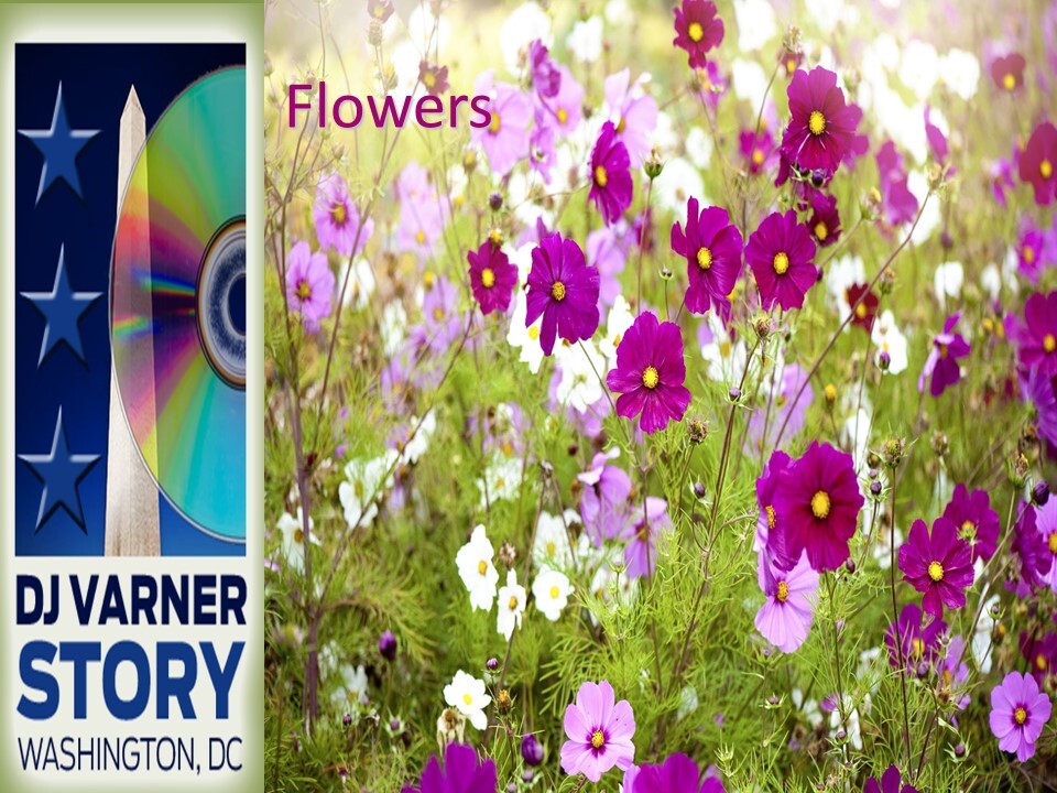 DJ Varner Story