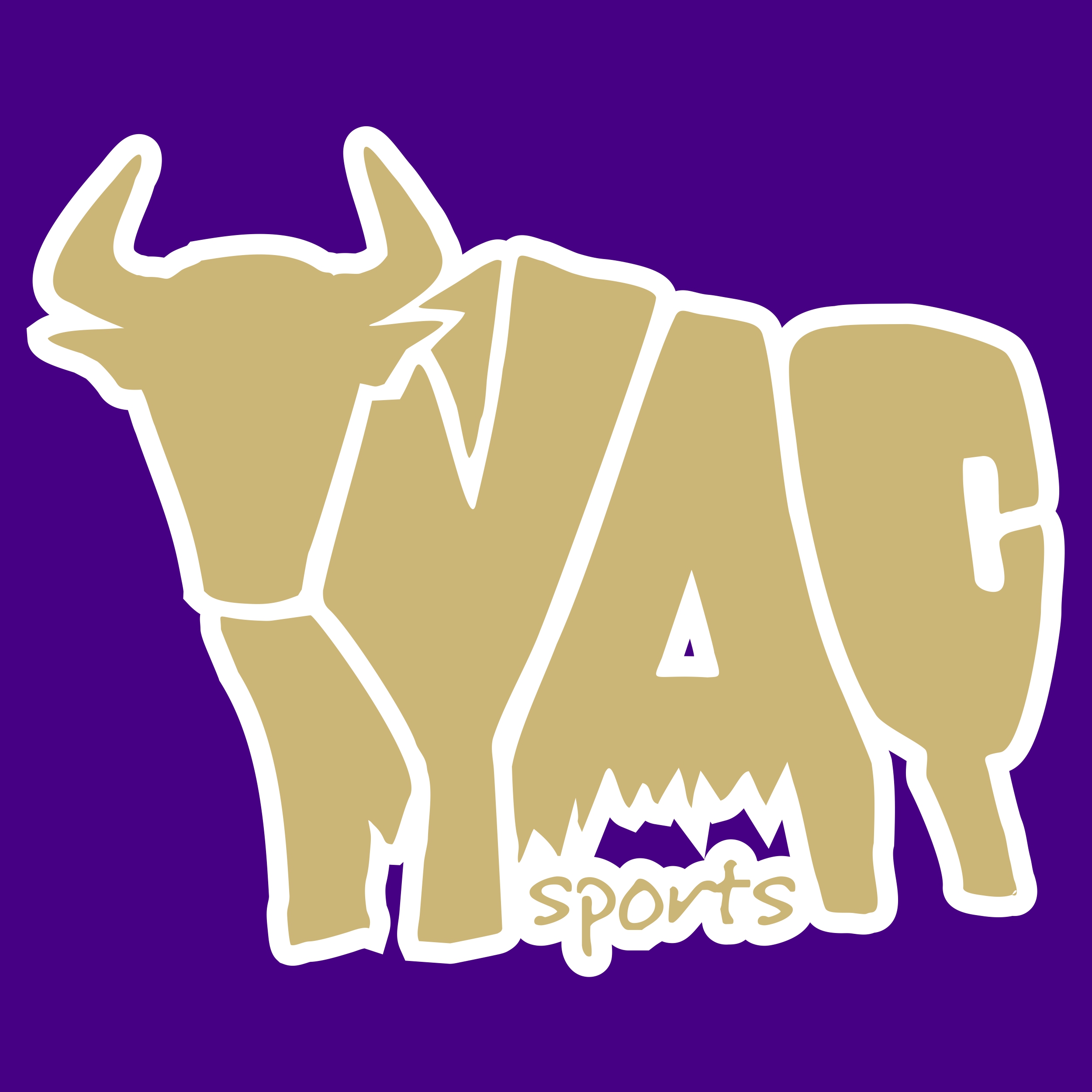 YAC Sports Podcast