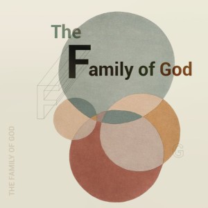 Church is Family: Brothers & Sisters - Genesis 1:26-31 (11.21.21)