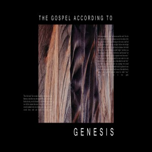 The Gospel According to Genesis: Creation - Gen. 1:1-2:3 (1.5.20)