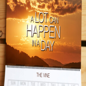 Sermon Series: A Lot Can Happen In A Day; Message: The Vine