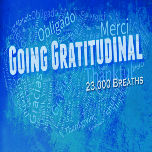 Sermon Series:Going Gratitudinal; Message:23,000 Breaths