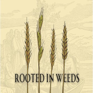 Stand Alone Sermon: Rooted in Weeds