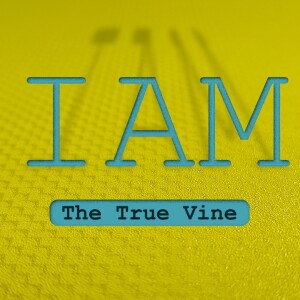 Sermon Series: I AM; Message: The Vine