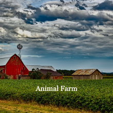 Chapter 7: Animal Farm - podcast episode cover