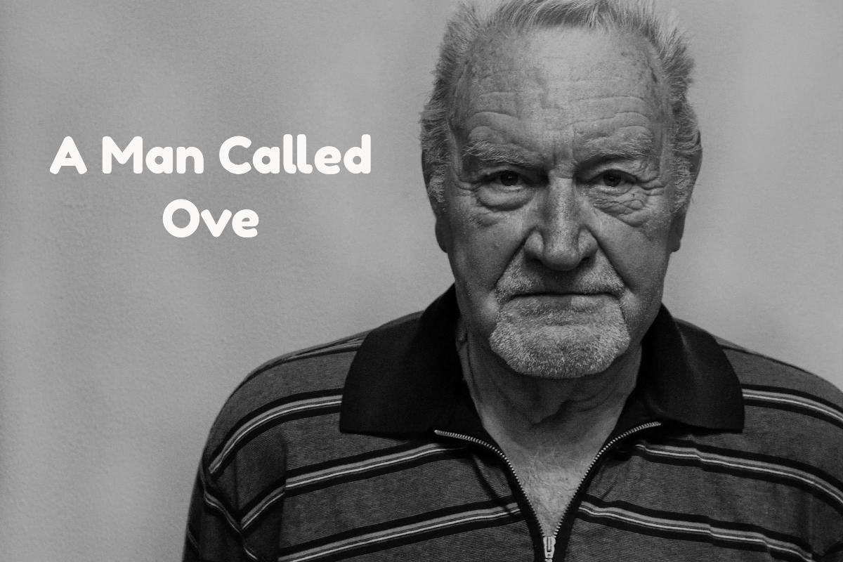 Chapter 17: A Man Called Ove - podcast episode cover