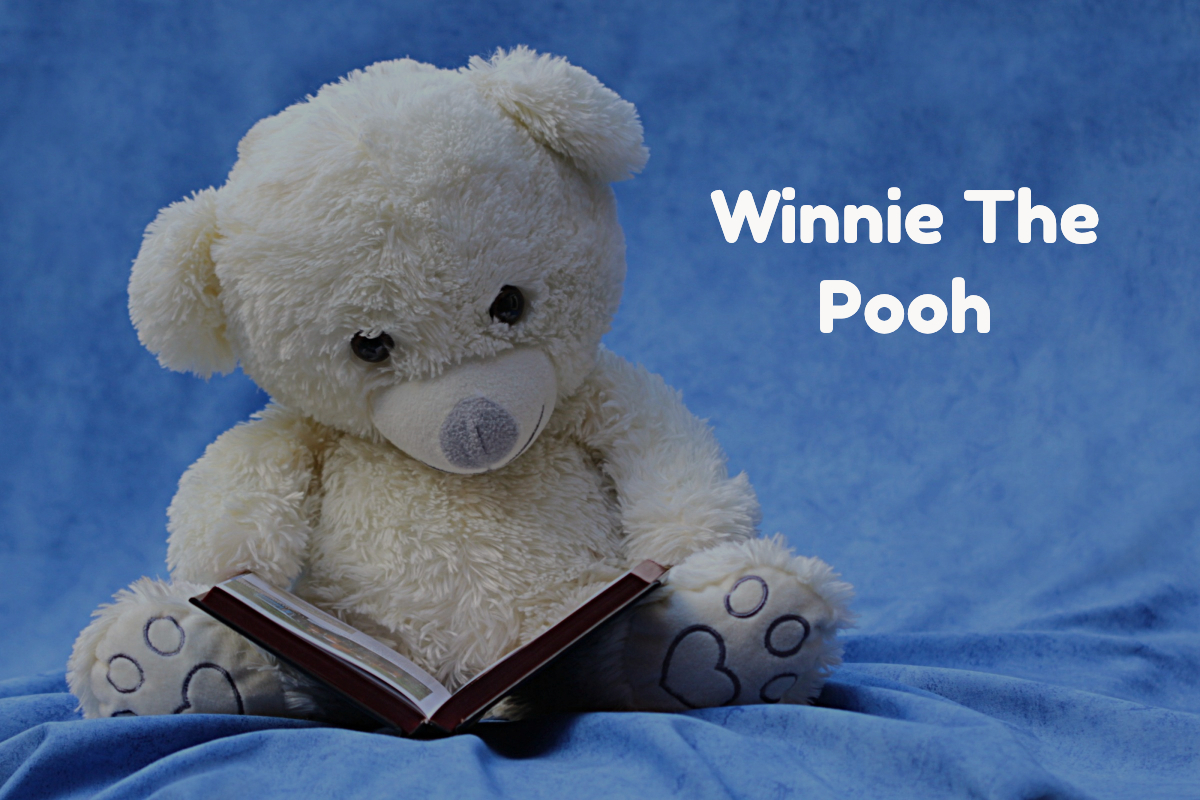 Chapter 18: Winnie The Pooh - podcast episode cover