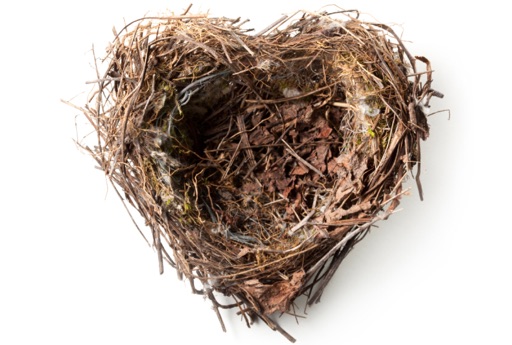 Aug 17, 2018 17:44 Empty Nest Syndrome