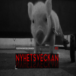 Nyhetsveckan #13 - Regeringsmissbildningen