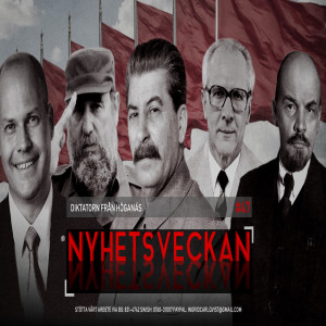Nyhetsveckan #47 - Diktatorn från Höganäs, bitchkriget, okynnesanmälningar, grovt förtal