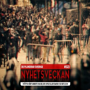De plundrar Sverige, SD-läget, Polisens dubbla måttstockar